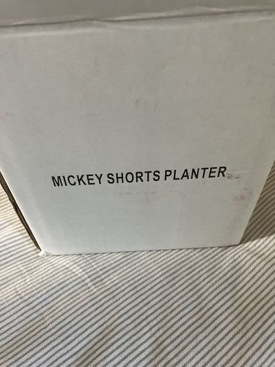 Disney exclusive Mickey Mouse planter