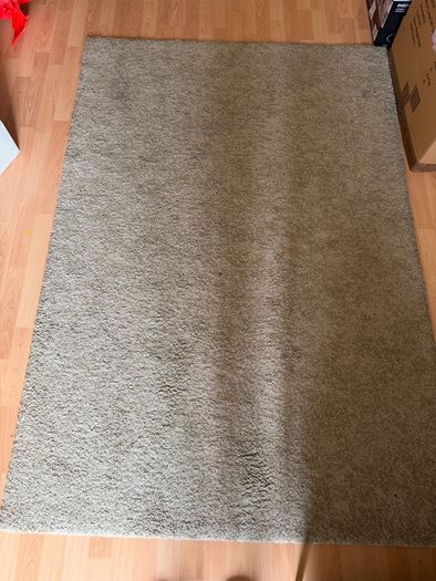 carpet