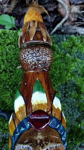 Cows  Bull's Horn