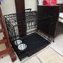 dog cage Image 2