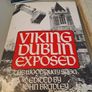 vikings dublin exposed Image 5