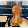 viola Image 2