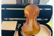 viola