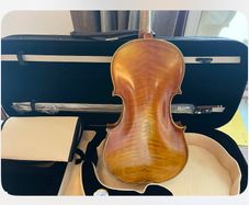 viola