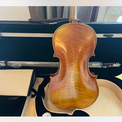 viola