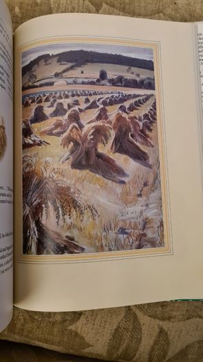 Cider With Rosie By Laurie Lee.   BEAUTIFUL ILLUSTRATED  EDITION 1989. Hardback With Dustjacket In Very Good Condition. Large Volume Book.