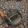 irobot  roomba Image 3