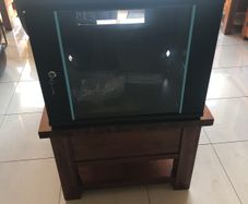 Cams wall mounted 9U cabinet with a variety of cables and connections