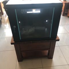 Cams wall mounted 9U cabinet with a variety of cables and connections