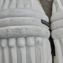 Cricket pads Image 4