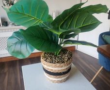 Faux Plant