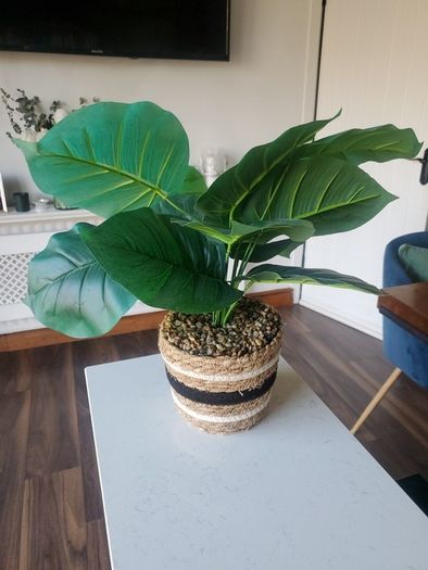 Faux Plant
