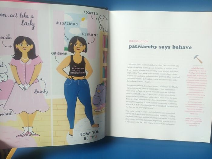 Unladylike: A Field Guide To Smashing The Patriarchy...
