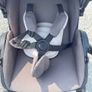 Buggy Image 2
