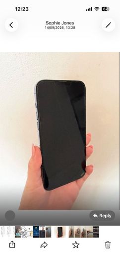 I phone 13 Pro max sierra blue