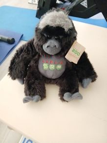 Soft toy Dublin zoo gorilla monkey with tags and 2 other teddies.
