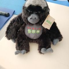 Soft toy Dublin zoo gorilla monkey with tags.