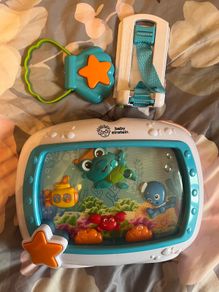 Baby toy little Einstein