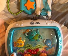 Baby toy little Einstein