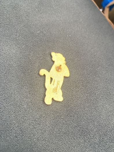 Disneyland Pin