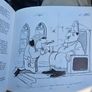 Irish Wildlife. By John Little.  Illustrated By Noel Kelly. First Edition Large Volume Paperback In Good Condition.  See Photos For Same. Image 6