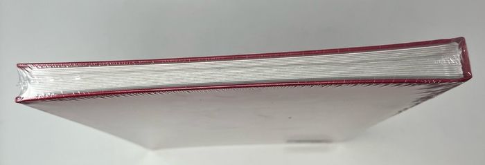 Stanley Gibbons White Page A4 Stockbook 16 Page 32 side in Red New and Sealed