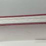 Stanley Gibbons White Page A4 Stockbook 16 Page 32 side in Red New and Sealed Image 3