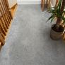 Carpet Image 4