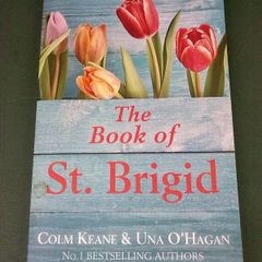 The book of St. Brigid Ireland Irish History