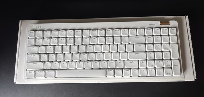 LoFree Flow Lite 100