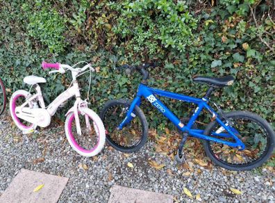 Two kids bikes