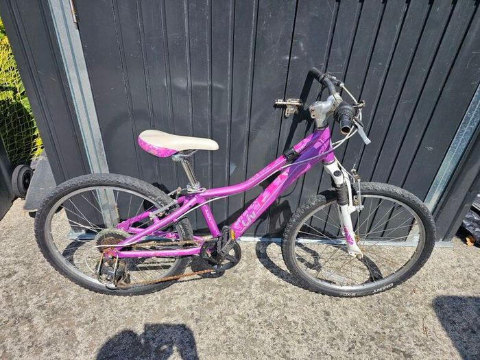 2 24" bikes