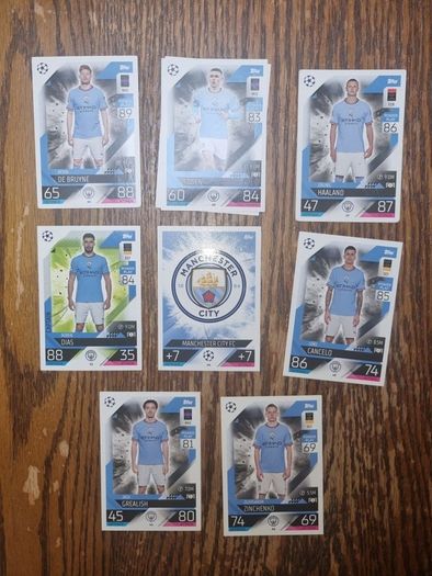 Man City Match Attax Cards