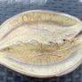 Unusual Vintage Plate Image 2