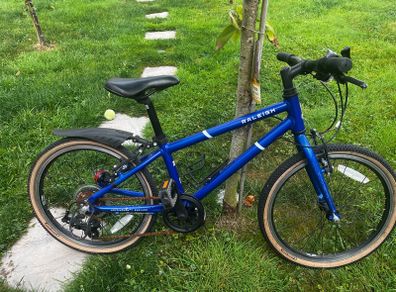 Raleigh 20" Bike