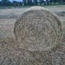 Quality Round Bales Of Hay Image 3