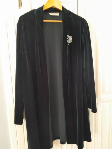 Vintage Velvet Coat  and Dress