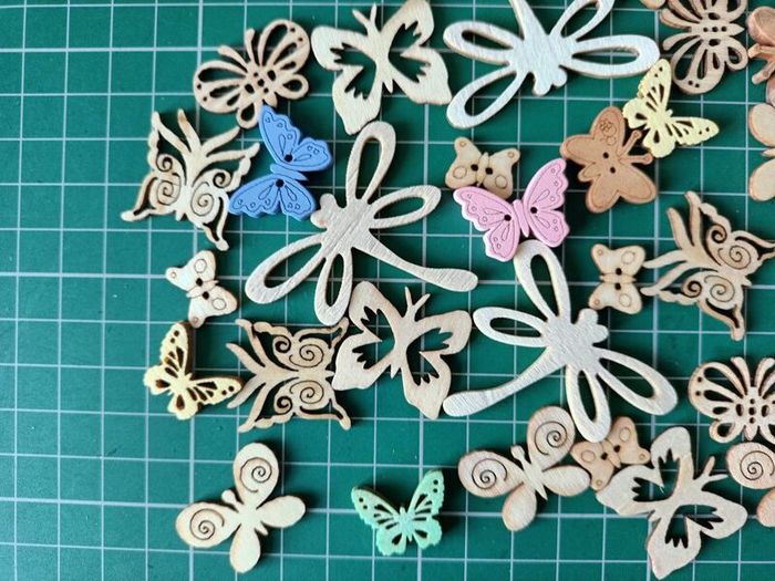 Craft Embellishments - Butterflies & Dragonflies