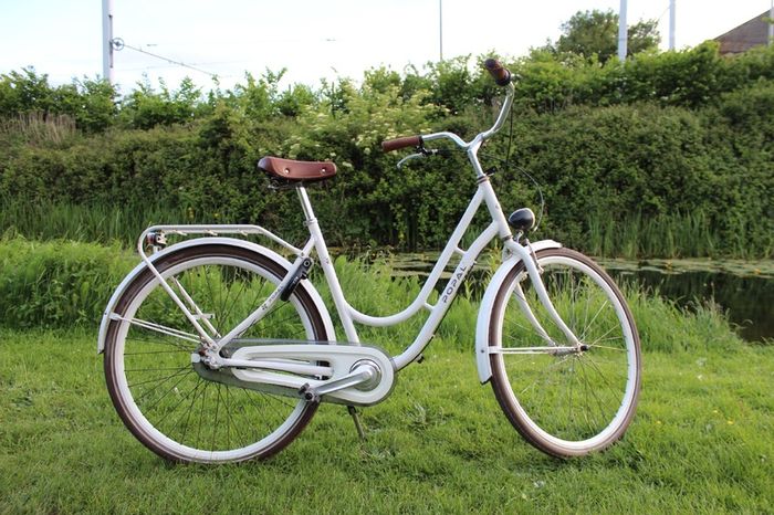 Dutch Style 3 Speed City Bike Hub Gears, Lights & Rear Pedal Brake