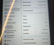 256GB iPad 10th Gen