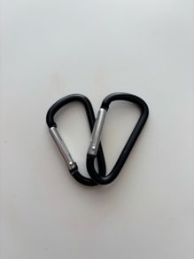 Two small carabiners