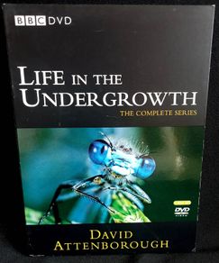David Attenborough: Life in the Undergrowth - The Complete Series DVD (2005)