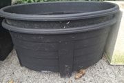 Plastic Pots