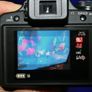 Panasonic Lumix FZ45 14.1MP Image 9