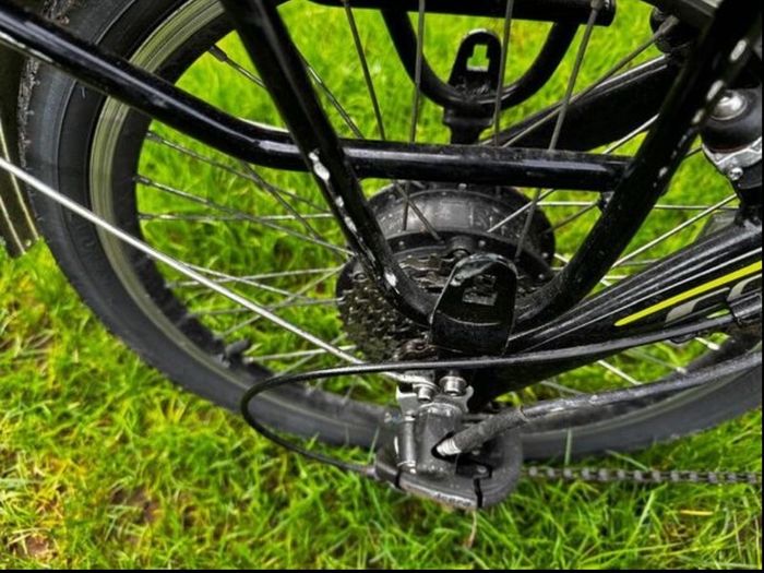 Carrera Crosscity Folding Electric Bike