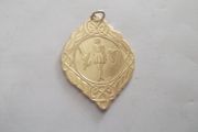 a gold plated irish dance medal