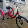 Trike Image 4