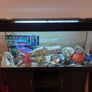 Juwel 240L fish tank Image 2