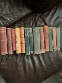 16 Charles Dickins books