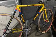 raleigh banana